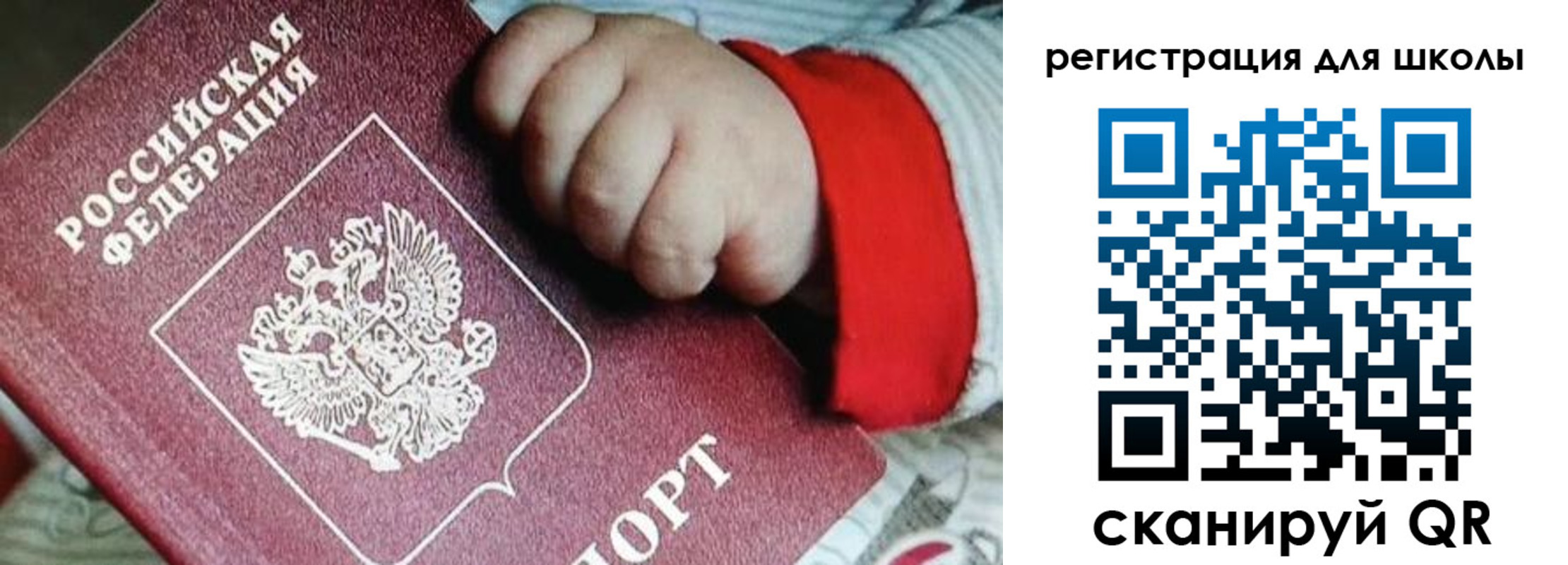 где прописаться в Сольцах